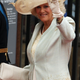 Illustration for article titled Hats And Headpieces From The Royal Wedding